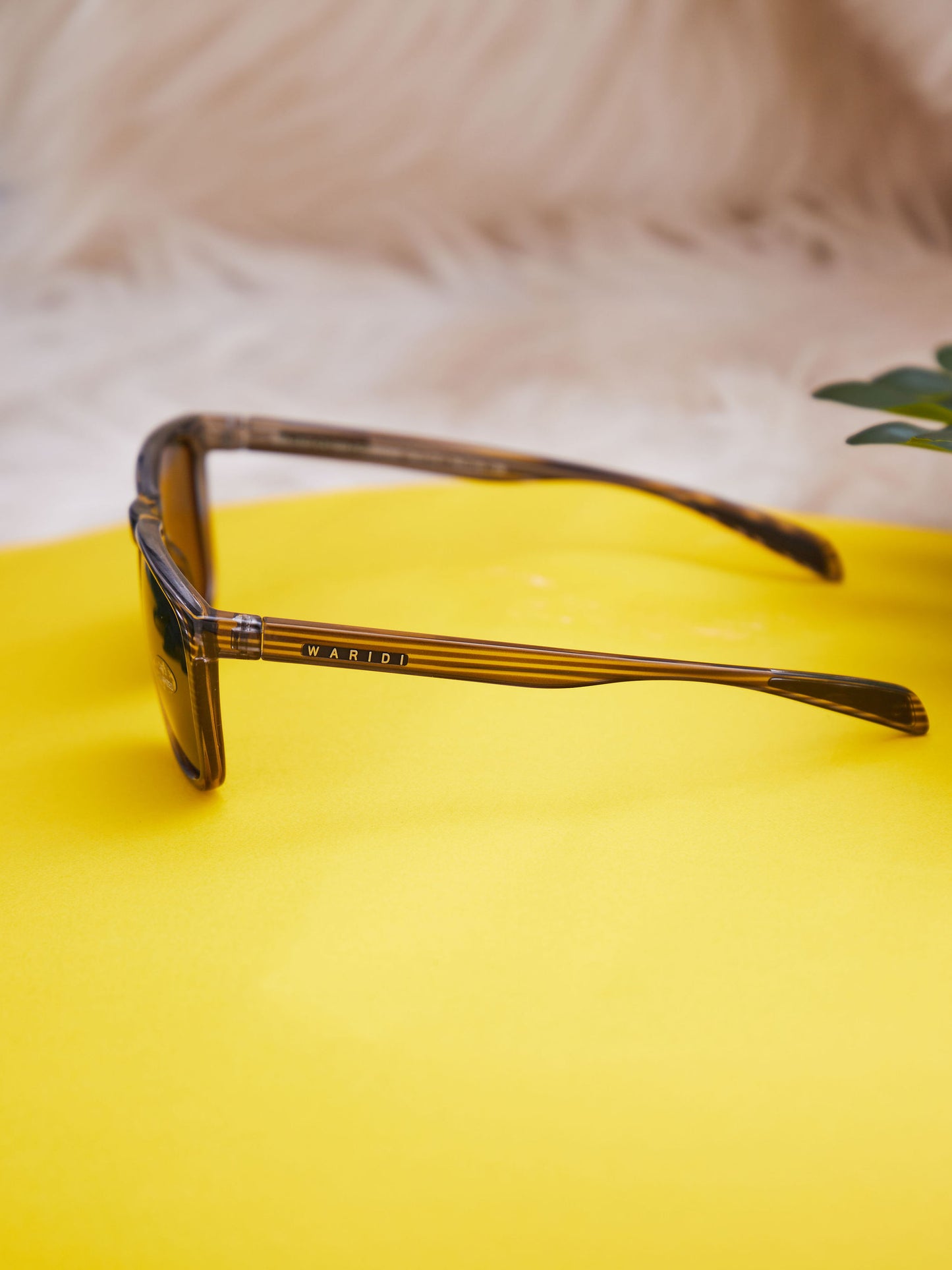 Waridi Eyewear Tulip Sunglasses - Stripes